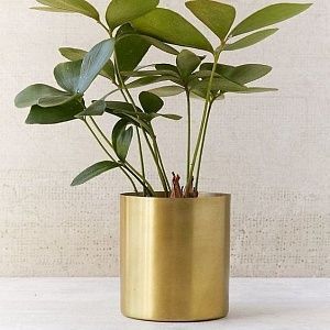 Кашпо из нержавеющей стали