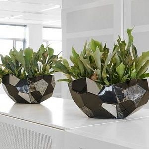 Металлические кашпо