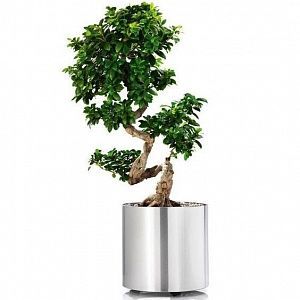 Кашпо из нержавеющей стали